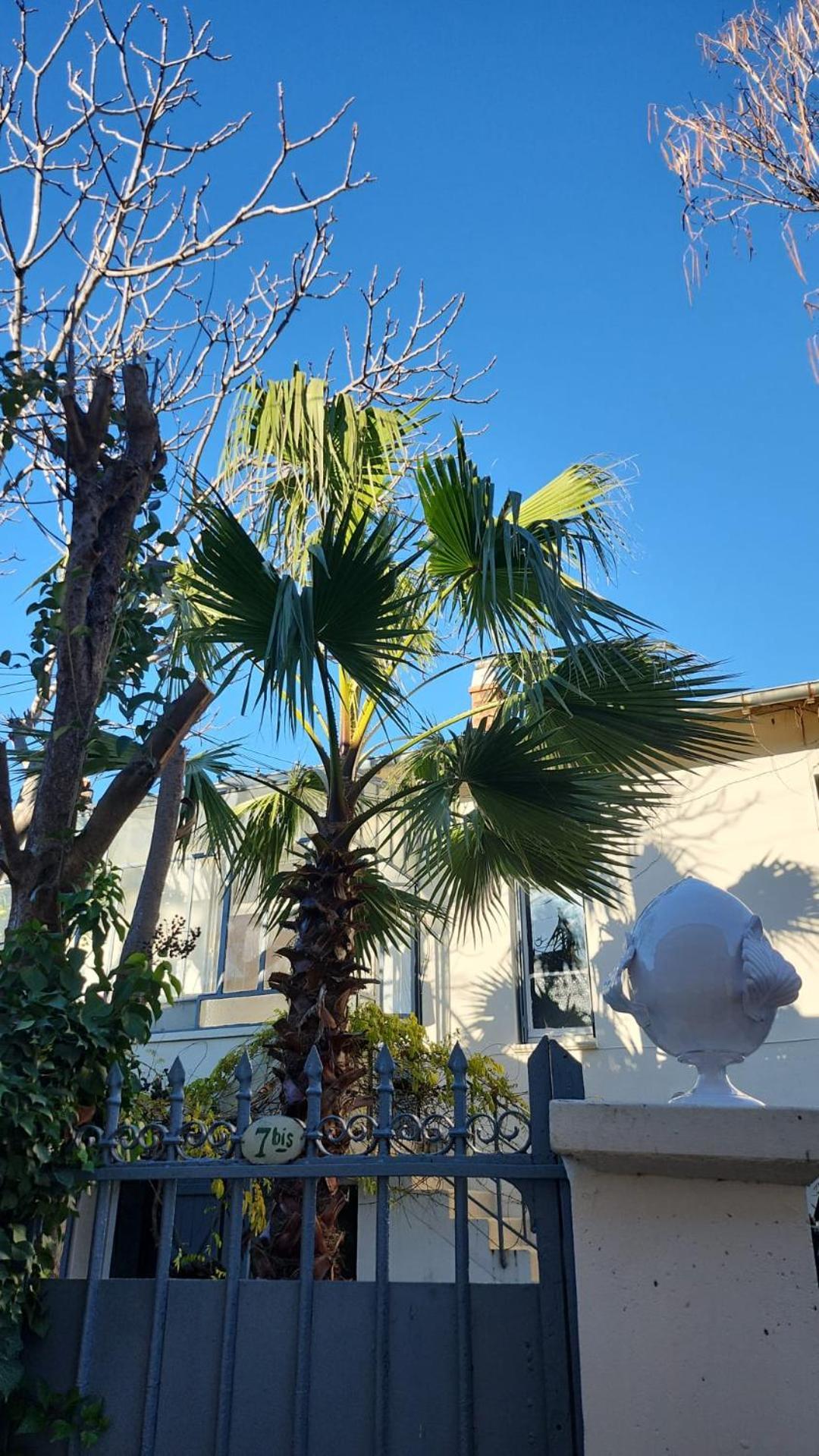 Le Nid Villa Avignon Eksteriør billede